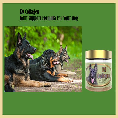 Avoid Your Dog’s Joint Issues with K9 Collagen